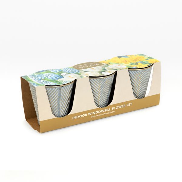 Taylors Spring Flowing Bulb Windowsill Planter Trio Set 5015882032846